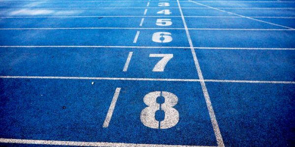The Physical Education Course Requirements